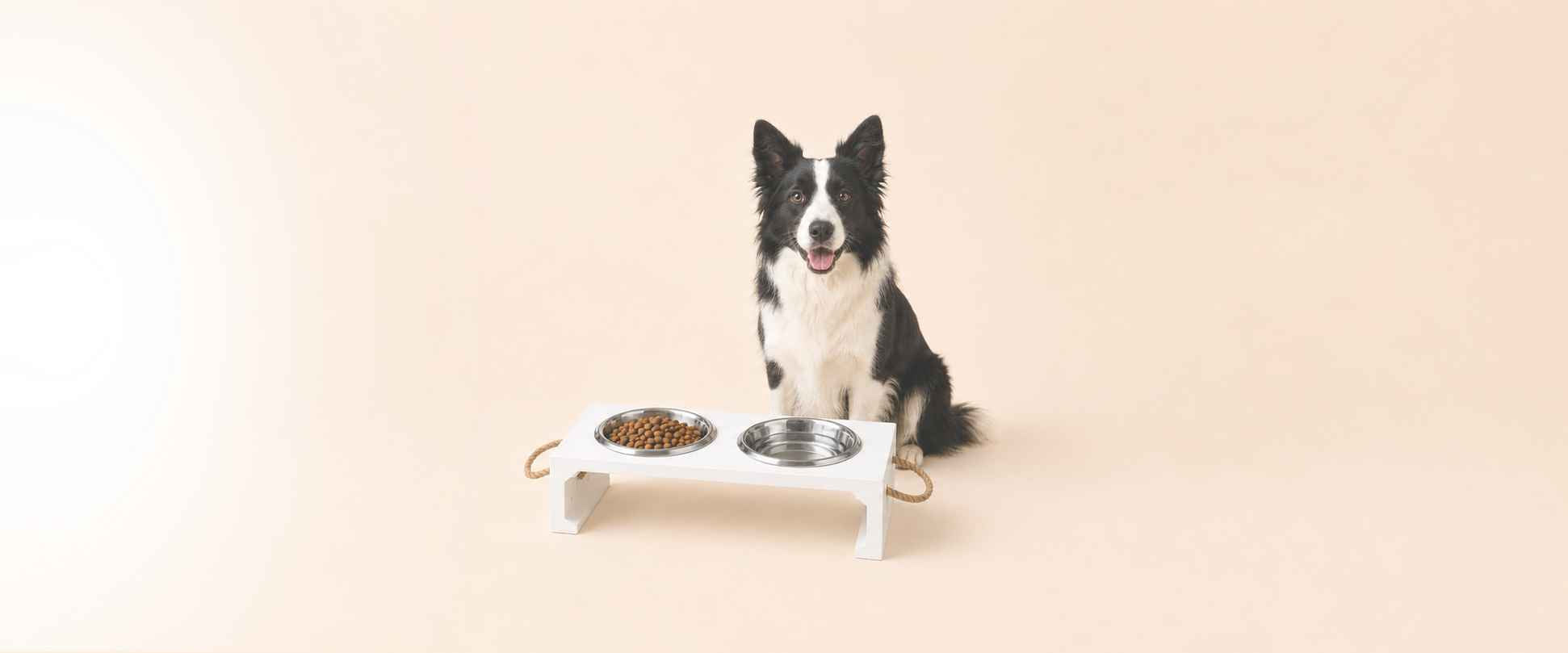 Futter & Trinken für Hunde