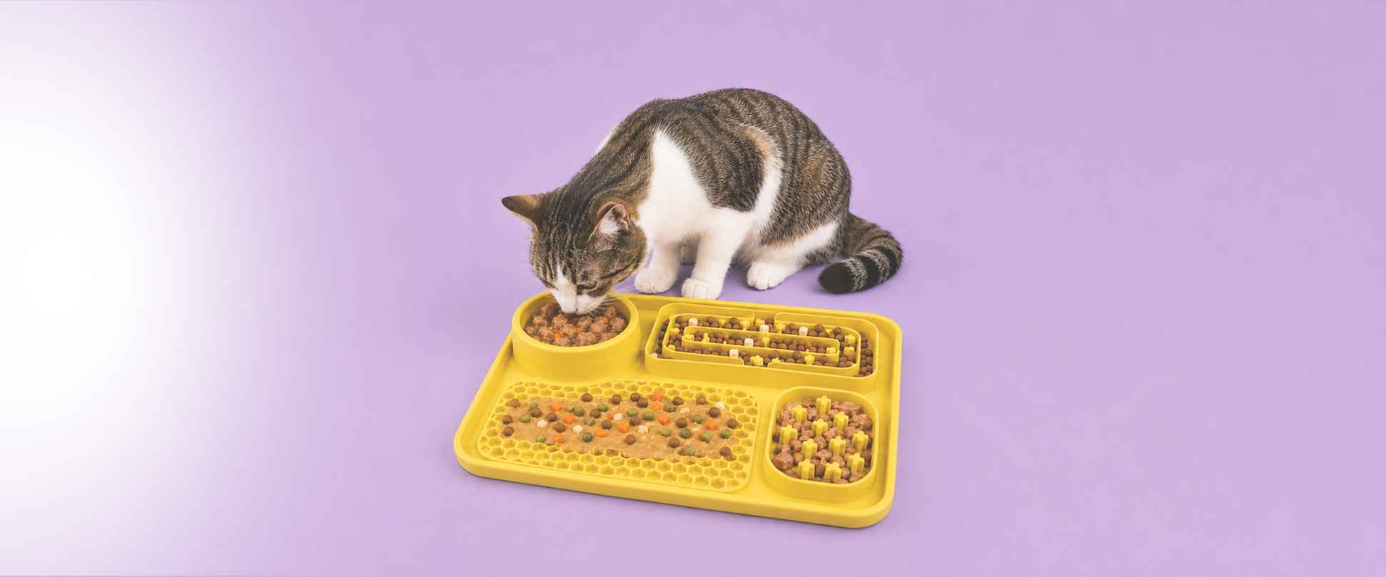 Futter & Trinken für Katzen