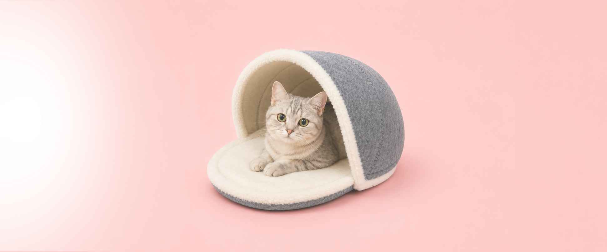 Katzenmöbel