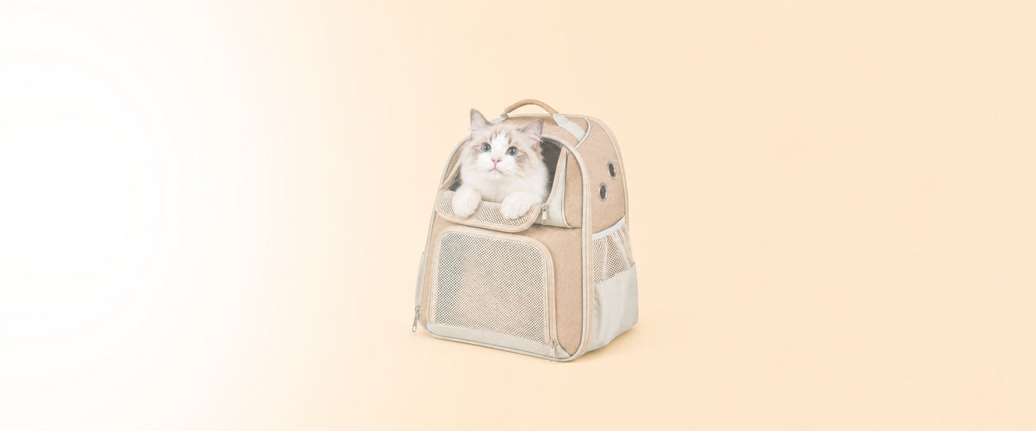 Katzentransport & Outdoor