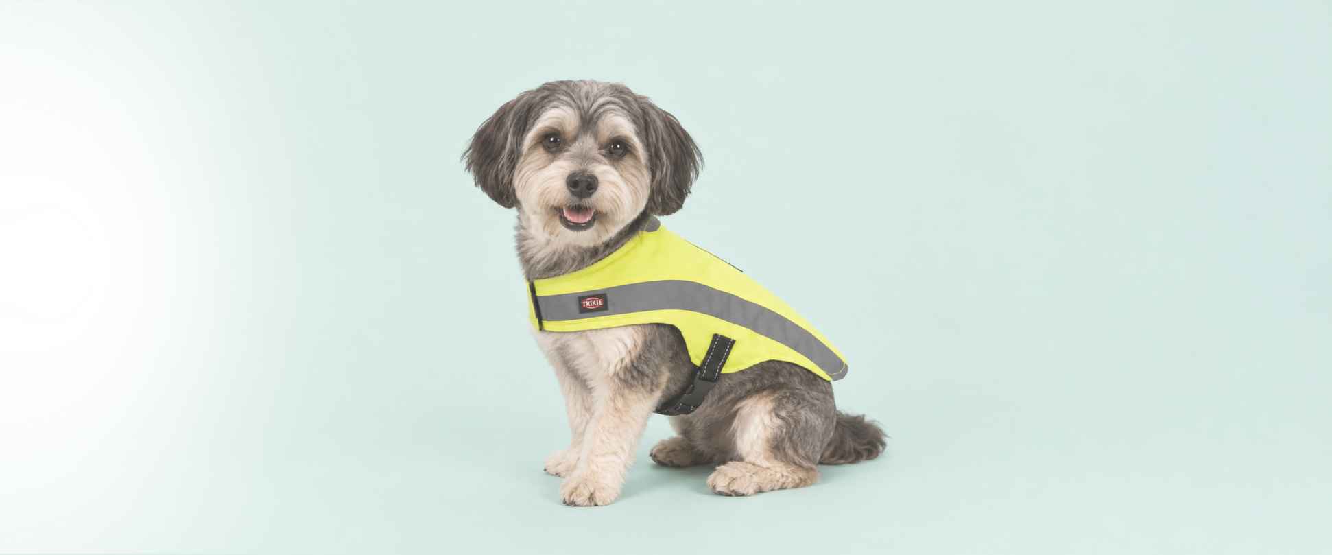 Hundebekleidung