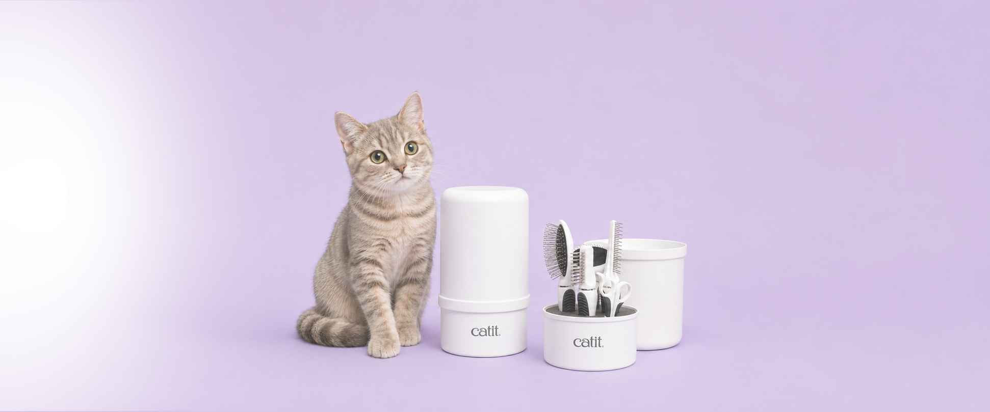 Katzenpflege & Hygiene