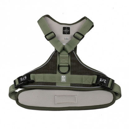 Duvoplus EXPLOR Ultimate Fit No-Pull