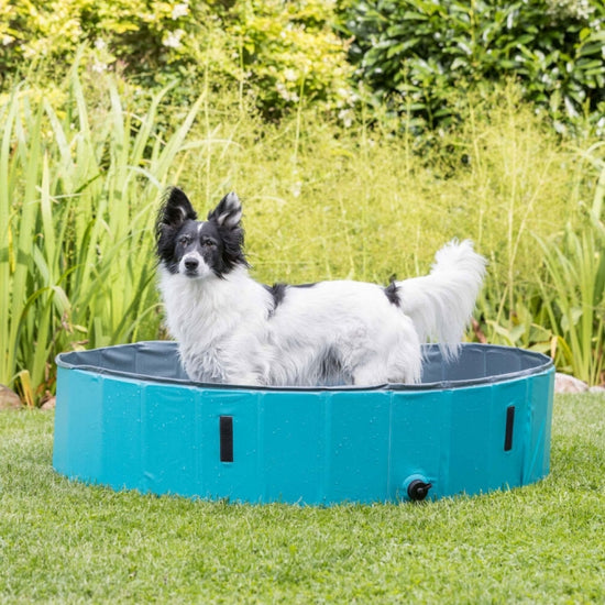 Trixie Hundepool