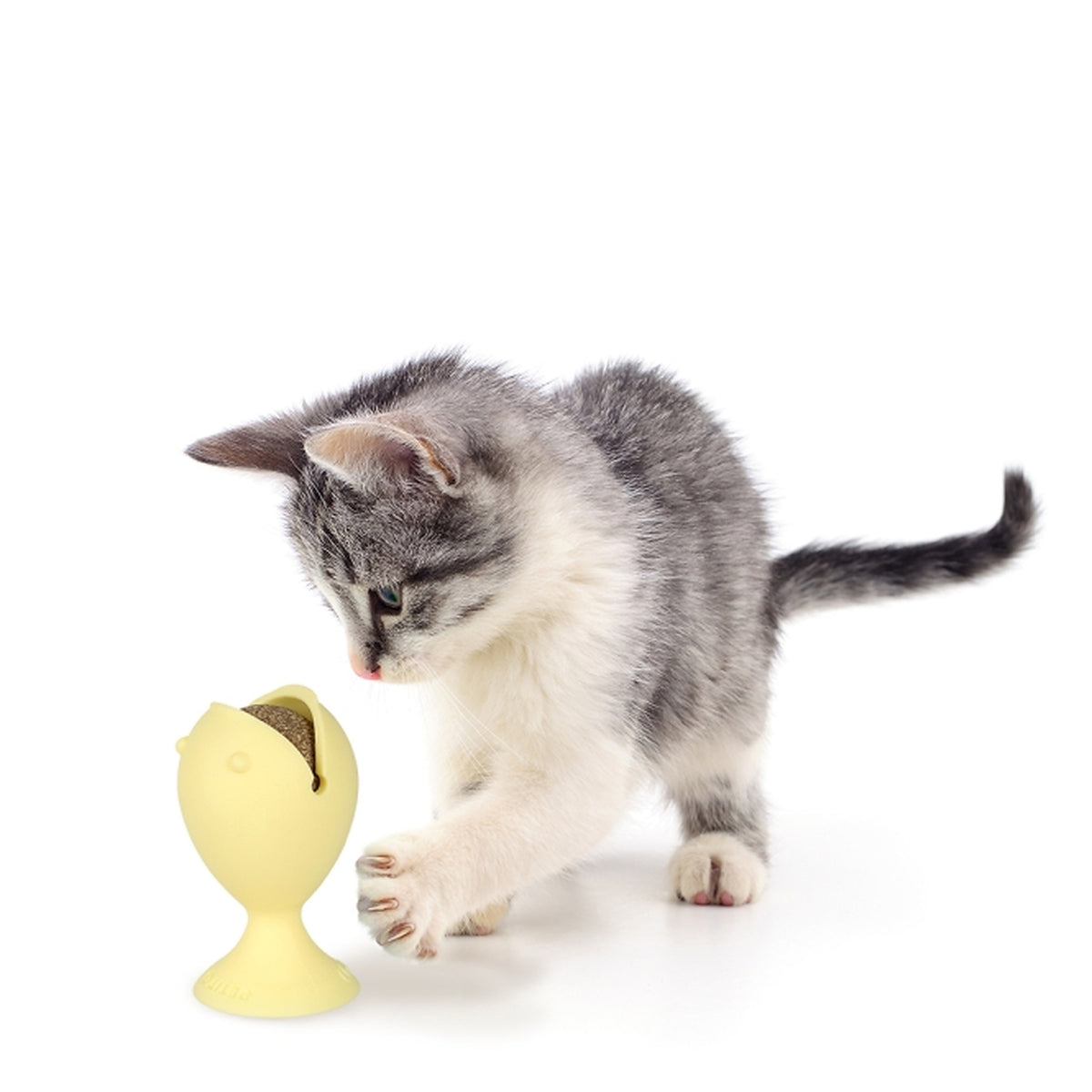 EBI Petit Puffi