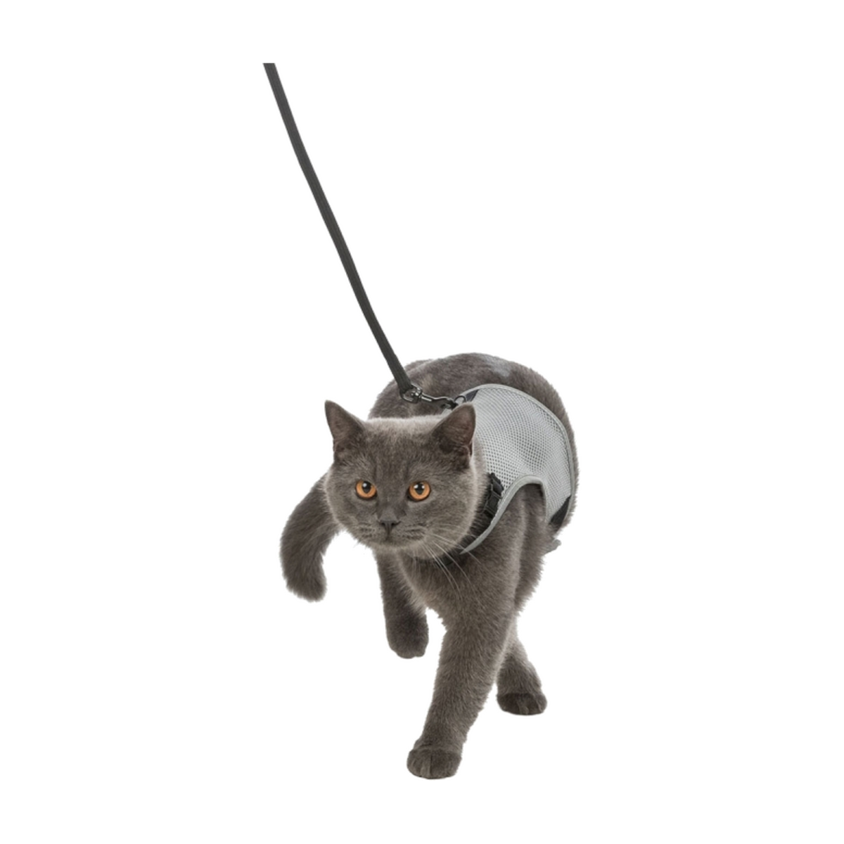 Trixie Katzen-Softgeschirr mit Leine